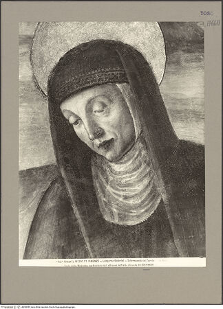 Vorderseite von bh084455_recto