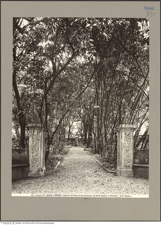 Vorderseite von bh084461_recto