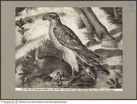 Vorderseite von bh084514_recto