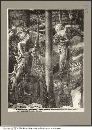 Vorderseite von bh084755_recto