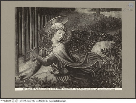 Vorderseite von bh084758_recto