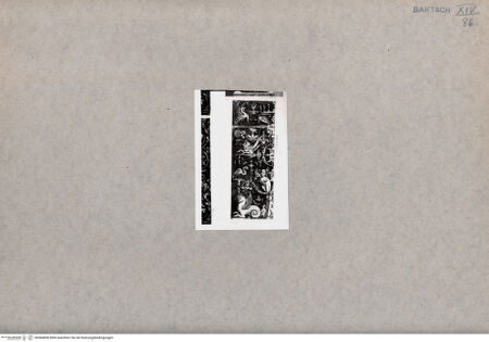 Vorderseite von  [http://creativecommons.org/publicdomain/mark/1.0/] Ornament - , bh084858. Foto.