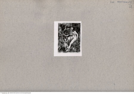 Vorderseite von  [http://creativecommons.org/publicdomain/mark/1.0/] Venus - , bh084939. Foto.