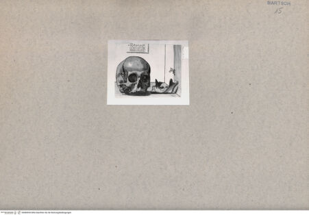 Vorderseite von  [http://creativecommons.org/publicdomain/mark/1.0/] Totenschädel - , bh084945. Foto.