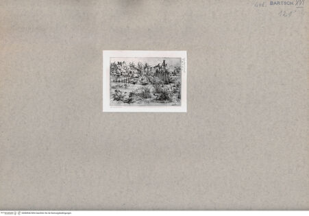 Vorderseite von  [http://creativecommons.org/publicdomain/mark/1.0/] Sumpflandschaft - , bh084946. Foto.