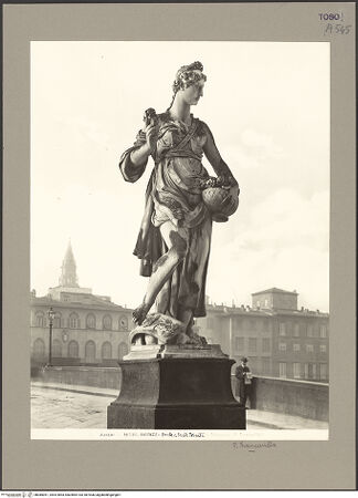 Vorderseite von bh085051_recto