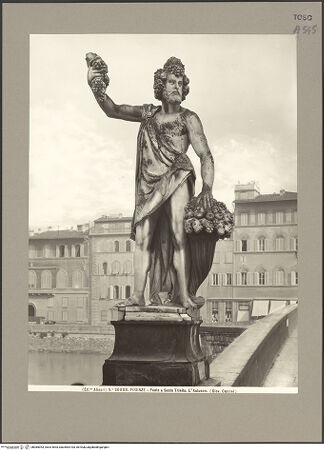 Vorderseite von bh085053_recto