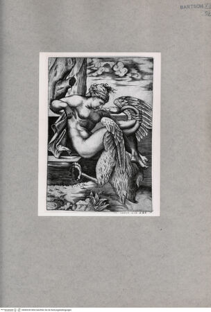 Vorderseite von  [http://creativecommons.org/publicdomain/mark/1.0/] Leda und der Schwan - , bh085249. Foto.