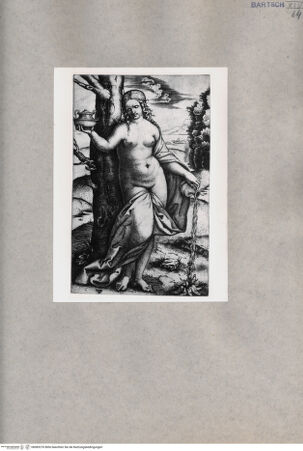 Vorderseite von  [http://creativecommons.org/publicdomain/mark/1.0/] Junge Frau - , bh085276. Foto.