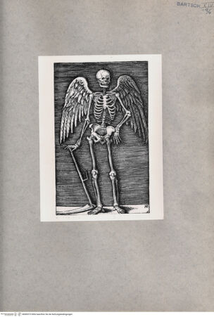 Vorderseite von  [http://creativecommons.org/publicdomain/mark/1.0/] Tod - , bh085375. Foto.