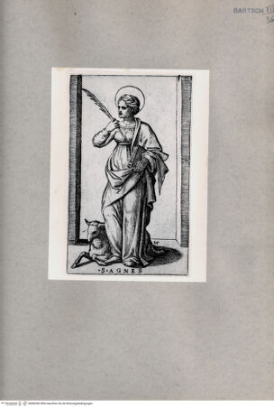 Vorderseite von  [http://creativecommons.org/publicdomain/mark/1.0/] Heilige Agnes - , bh085382. Foto.