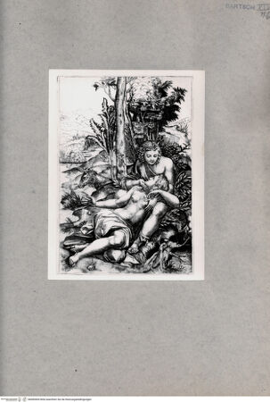 Vorderseite von  [http://creativecommons.org/publicdomain/mark/1.0/] Angelika und Medoro - , bh085404. Foto.