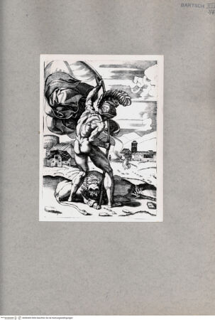 Vorderseite von  [http://creativecommons.org/publicdomain/mark/1.0/] Bannerträger - , bh085405. Foto.