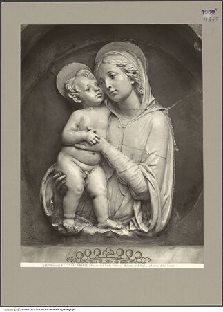 Vorderseite von bh085601_recto