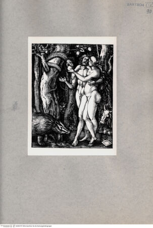 Vorderseite von  [http://creativecommons.org/publicdomain/mark/1.0/] Adam und Eva - , bh085787. Foto.