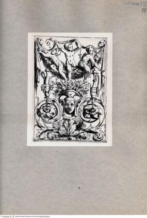 Vorderseite von  [http://creativecommons.org/publicdomain/mark/1.0/] Ornament - , bh085790. Foto.