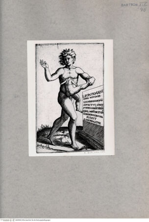 Vorderseite von  [http://creativecommons.org/publicdomain/mark/1.0/] Monstrum - , bh085842. Foto.