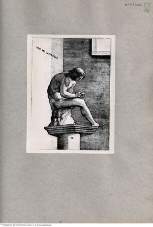 Vorderseite von  [http://creativecommons.org/publicdomain/mark/1.0/] Dornauszieher - , bh085847. Foto.