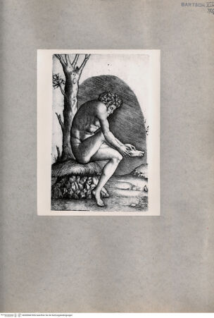 Vorderseite von  [http://creativecommons.org/publicdomain/mark/1.0/] Dornauszieher - , bh085848. Foto.