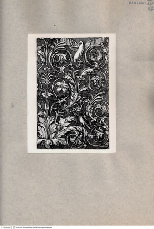 Vorderseite von  [http://creativecommons.org/publicdomain/mark/1.0/] Ornament mit Pflanzen und Vögeln - , bh085849. Foto.