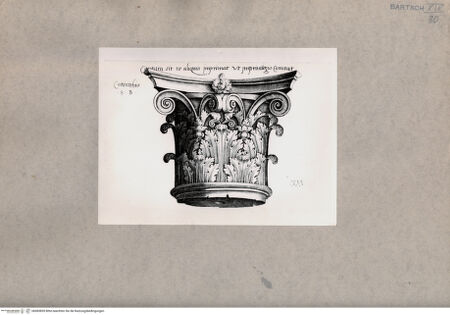 Vorderseite von  [http://creativecommons.org/publicdomain/mark/1.0/] Kapitel - , bh085859. Foto.