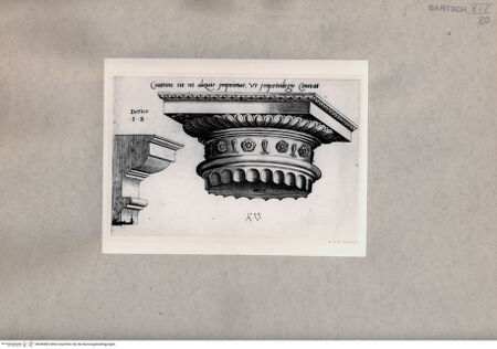 Vorderseite von  [http://creativecommons.org/publicdomain/mark/1.0/] Kapitell - , bh085865. Foto.