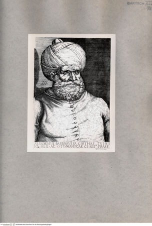 Vorderseite von  [http://creativecommons.org/publicdomain/mark/1.0/] Friedrich I. "Barbarossa" - , bh085868. Foto.