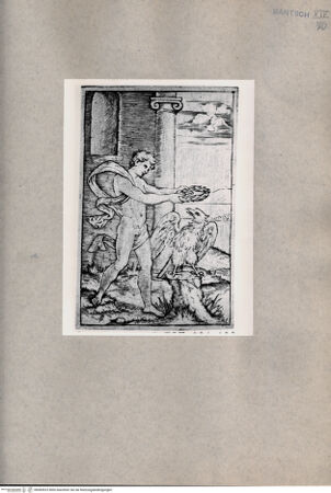 Vorderseite von  [http://creativecommons.org/publicdomain/mark/1.0/] Junger Mann bekrönt einen Adler - , bh085923. Foto.