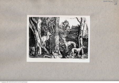 Vorderseite von  [http://creativecommons.org/publicdomain/mark/1.0/] Tiere - , bh085930. Foto.