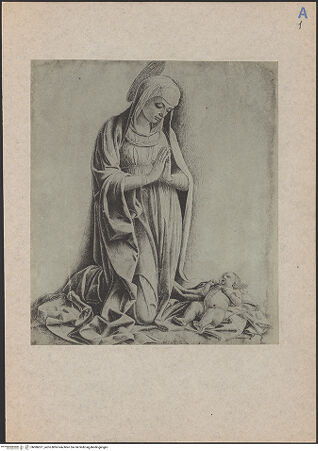 Vorderseite von bh086071_recto