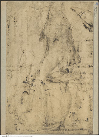 Vorderseite von bh086114_recto