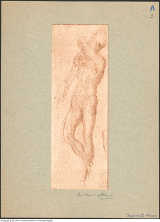 Vorderseite von bh086141_recto