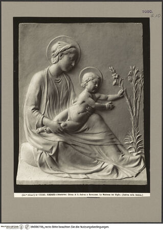 Vorderseite von bh086196_recto