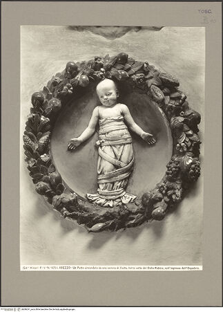 Vorderseite von bh086241_recto