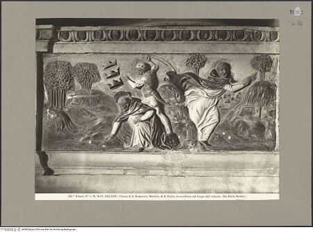 Vorderseite von Alinari [https://www.deutsche-digitale-bibliothek.de/content/lizenzen/rv-ez/] Der heilige Petrus der Märtyrer - Predella: Martyrium des heiligen Petrus, bh086334_recto. Foto.