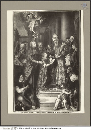 Vorderseite von bh086416_recto