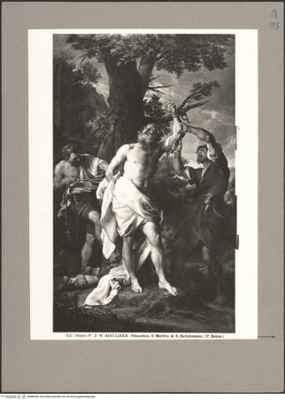 Vorderseite von bh086499_recto