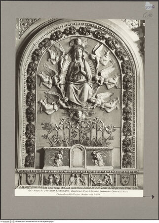 Vorderseite von bh086616_recto