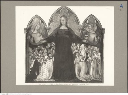 Vorderseite von bh087007_recto