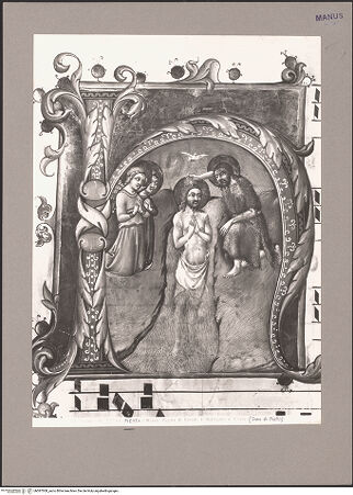 Vorderseite von bh087008_recto