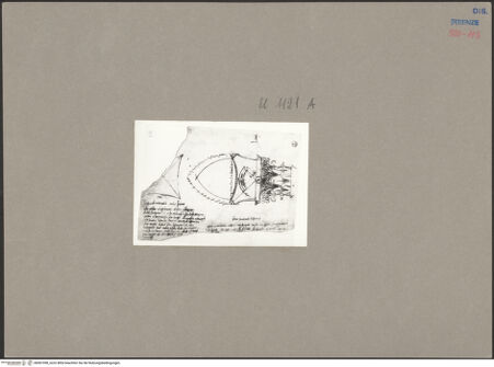 Vorderseite von bh087398_recto