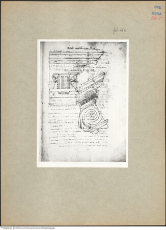 Vorderseite von bh087623_recto