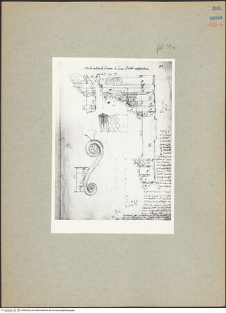 Vorderseite von bh087646_recto