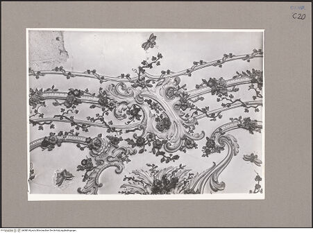 Vorderseite von Sopr. BAS NA [https://www.deutsche-digitale-bibliothek.de/content/lizenzen/rv-ez/] Dekoration des Kabinettes der Königin Maria Amalia - Detail, bh088149_recto. Foto.