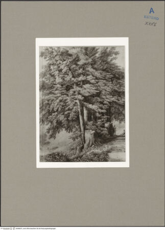 Vorderseite von bh088291_recto