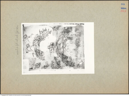 Vorderseite von bh088596_recto