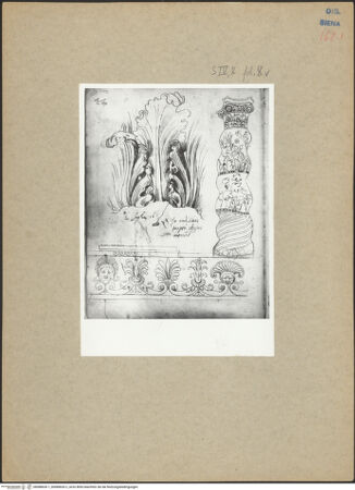 Vorderseite von bh088630-1_bh088630-2_recto