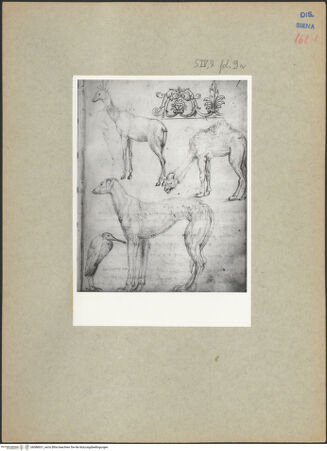 Vorderseite von bh088631_recto