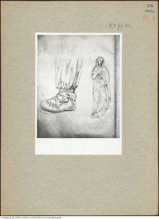 Vorderseite von bh088634-1_bh088634-2_recto