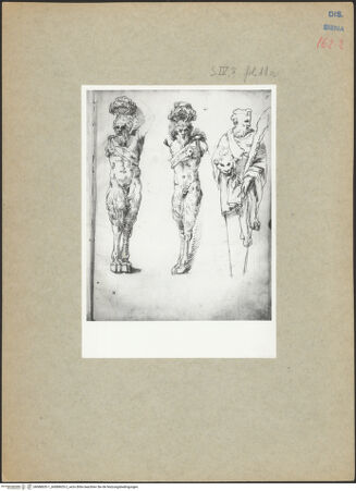 Vorderseite von bh088635-1_bh088635-2_recto